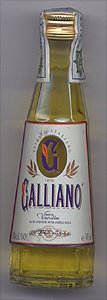 «Galliano Vanilla»