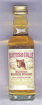 «Scottish Collie»