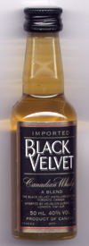 «Black Velvet»