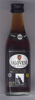 «Ialoveni de Desert 1990»